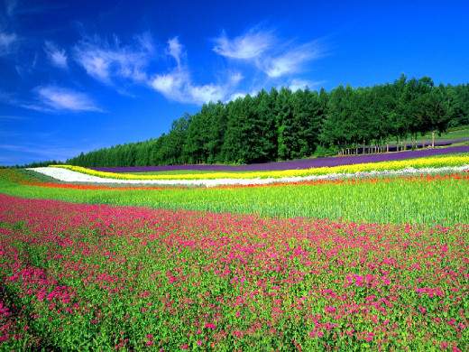 23548 (a): :1024x768